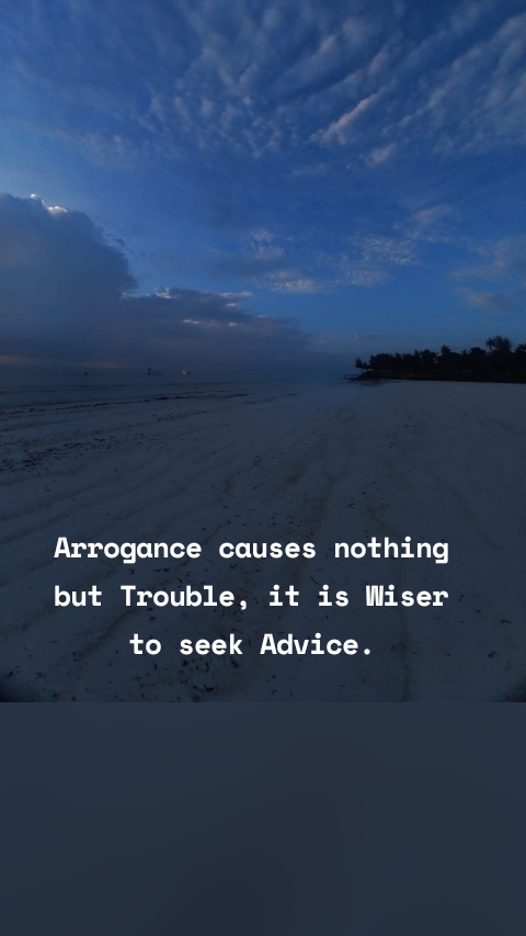 Arrogance causes nothing but Trouble, it is Wiser to seek Advice.
