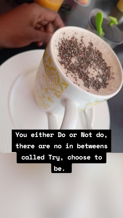 You either Do or Not do, there are no in betweens called Try, choose to be.